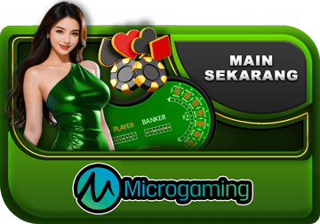 Micro Gaming